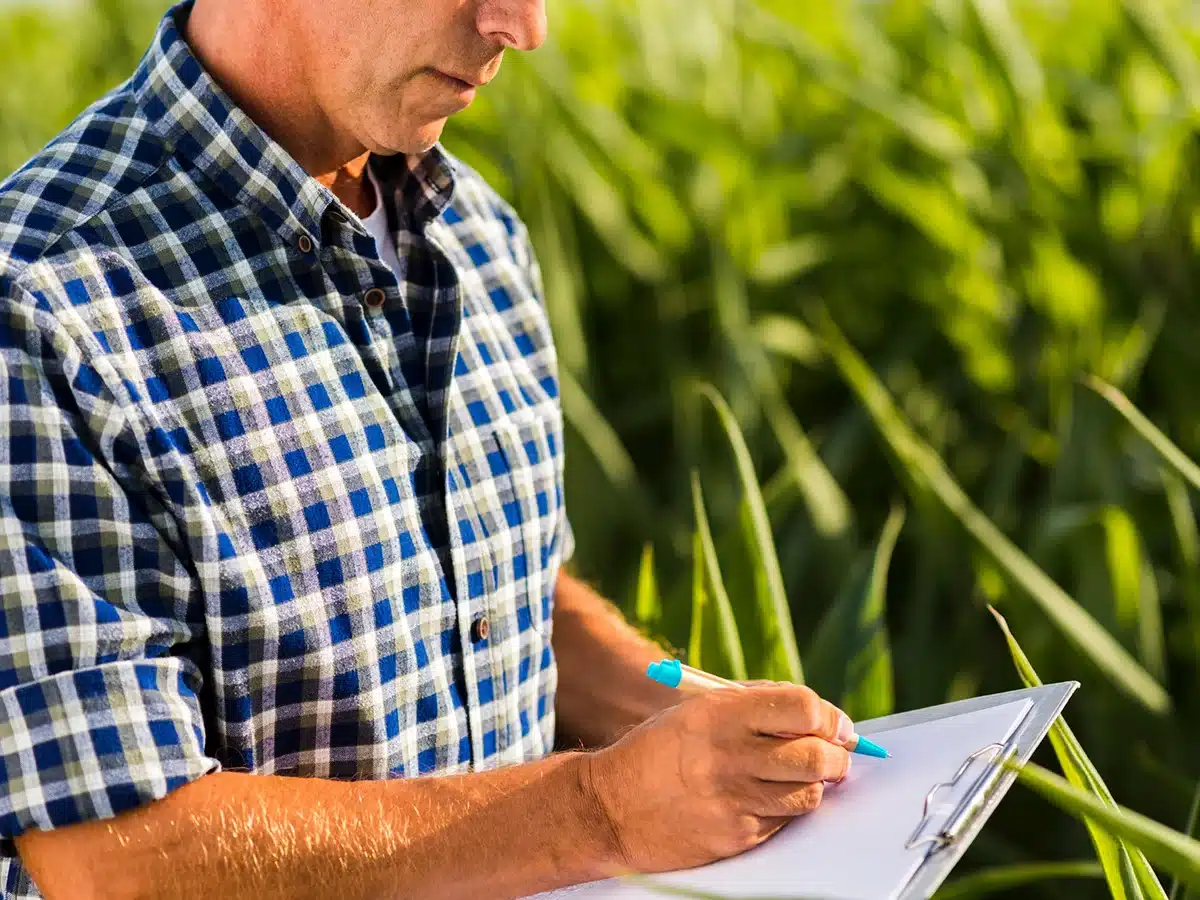 informe de tasación agrícola