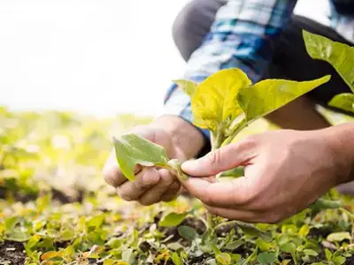 Tipos de tasaciones inmobiliarias